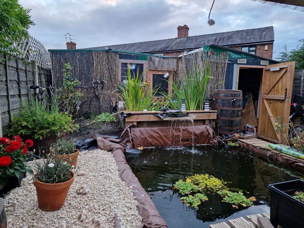Garden with pond and shed in the background